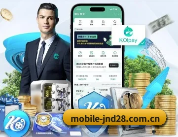 加拿大 APP 深度功能